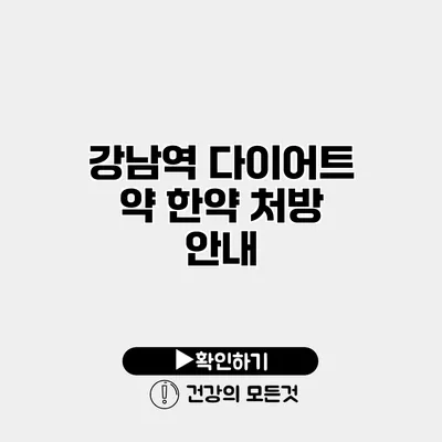 강남역 다이어트 약 한약 처방 안내
