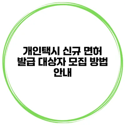 개인택시 신규 면허 발급 대상자 모집 방법 안내