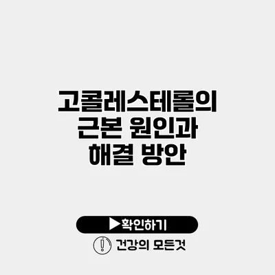 고콜레스테롤의 근본 원인과 해결 방안