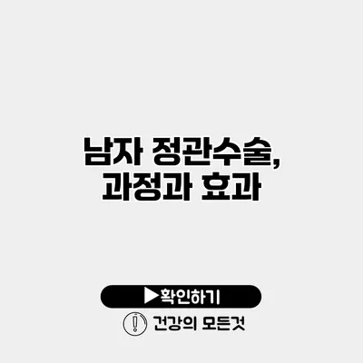 남자 정관수술, 과정과 효과