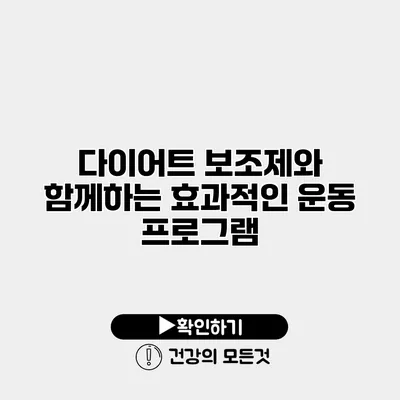 다이어트 보조제와 함께하는 효과적인 운동 프로그램