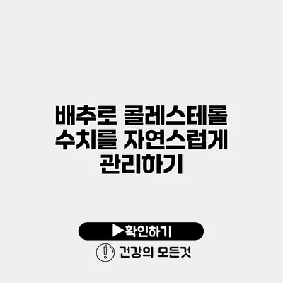 배추로 콜레스테롤 수치를 자연스럽게 관리하기