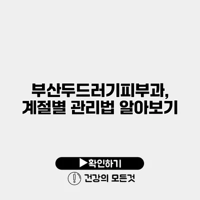 부산두드러기피부과, 계절별 관리법 알아보기