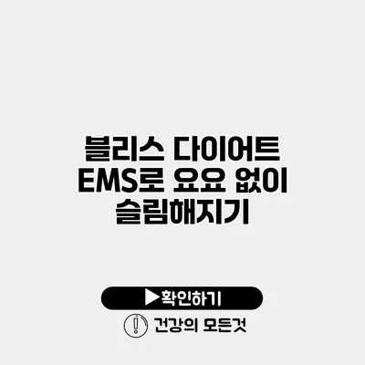 블리스 다이어트 EMS로 요요 없이 슬림해지기