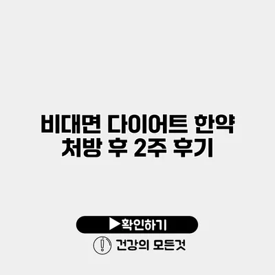 비대면 다이어트 한약 처방 후 2주 후기