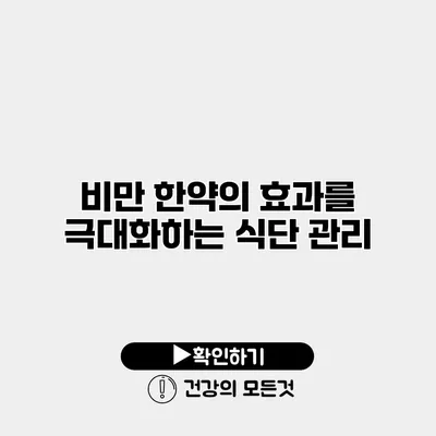 비만 한약의 효과를 극대화하는 식단 관리