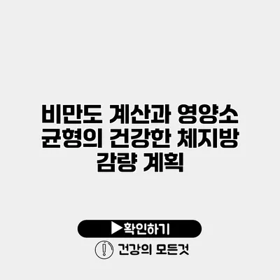 비만도 계산과 영양소 균형의 건강한 체지방 감량 계획