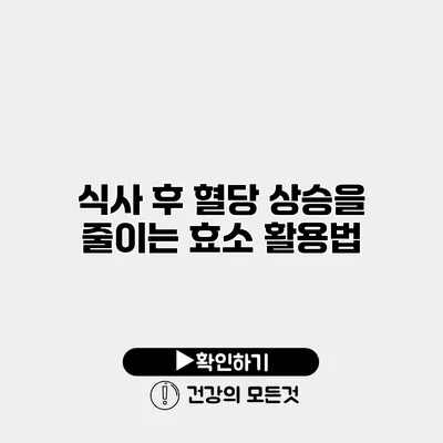 식사 후 혈당 상승을 줄이는 효소 활용법