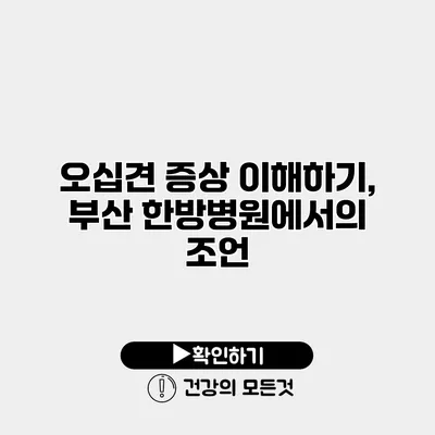 오십견 증상 이해하기, 부산 한방병원에서의 조언