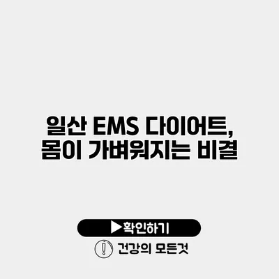 일산 EMS 다이어트, 몸이 가벼워지는 비결