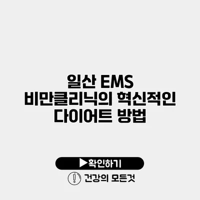 일산 EMS 비만클리닉의 혁신적인 다이어트 방법