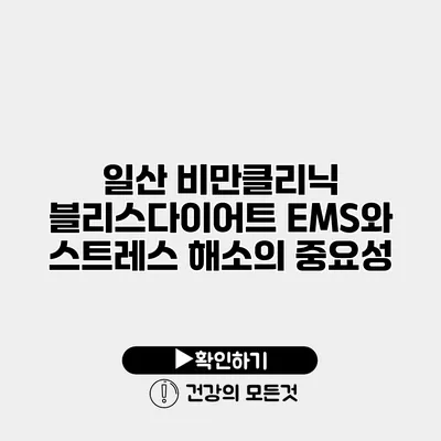 일산 비만클리닉 블리스다이어트 EMS와 스트레스 해소의 중요성