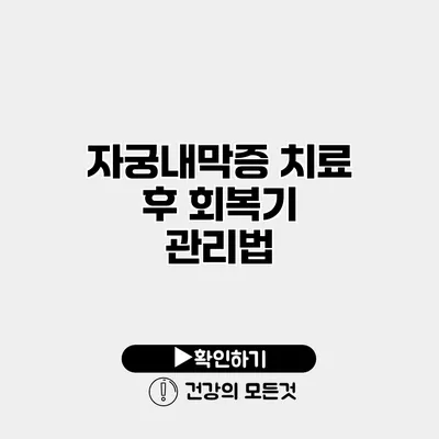 자궁내막증 치료 후 회복기 관리법