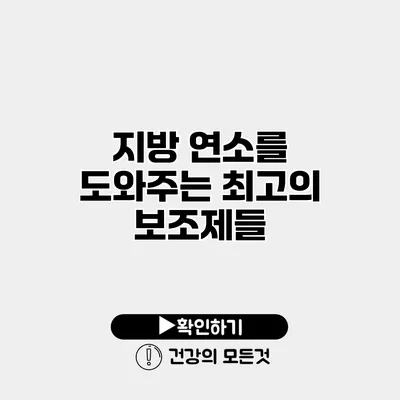 지방 연소를 도와주는 최고의 보조제들