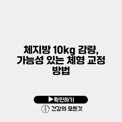 체지방 10kg 감량, 가능성 있는 체형 교정 방법