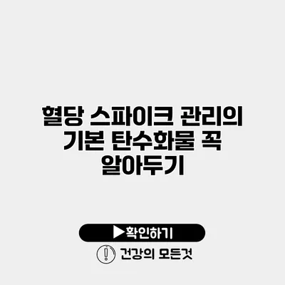 혈당 스파이크 관리의 기본 탄수화물 꼭 알아두기