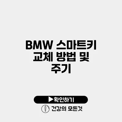 BMW 스마트키 교체 방법 및 주기