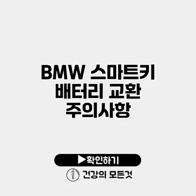 BMW 스마트키 배터리 교환 주의사항