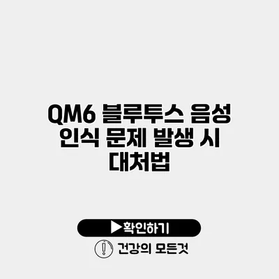 QM6 블루투스 음성 인식 문제 발생 시 대처법