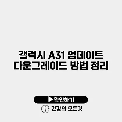 갤럭시 A31 업데이트 다운그레이드 방법 정리