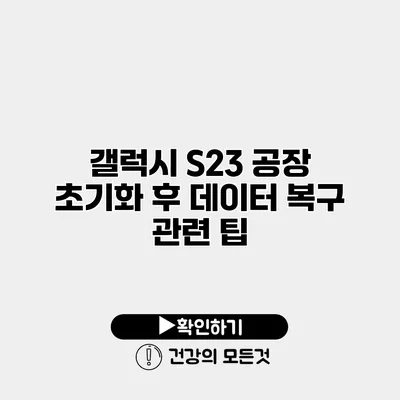 갤럭시 S23 공장 초기화 후 데이터 복구 관련 팁