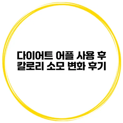 다이어트 어플 사용 후 칼로리 소모 변화 후기