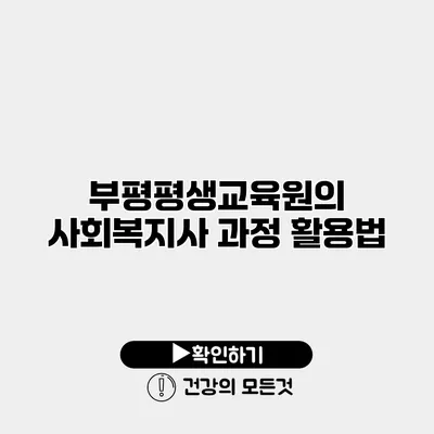부평평생교육원의 사회복지사 과정 활용법