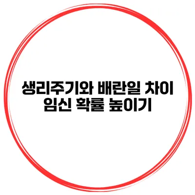 생리주기와 배란일 차이 임신 확률 높이기