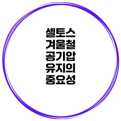 셀토스 겨울철 공기압 유지의 중요성
