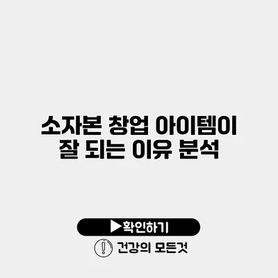 소자본 창업 아이템이 잘 되는 이유 분석