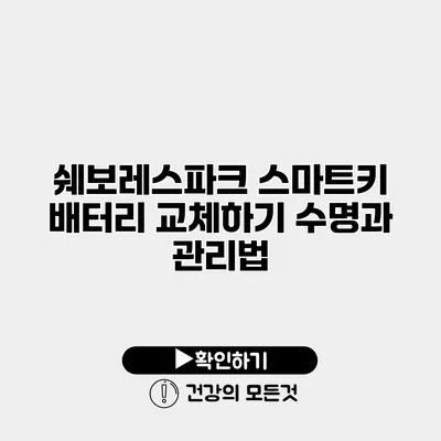 쉐보레스파크 스마트키 배터리 교체하기 수명과 관리법