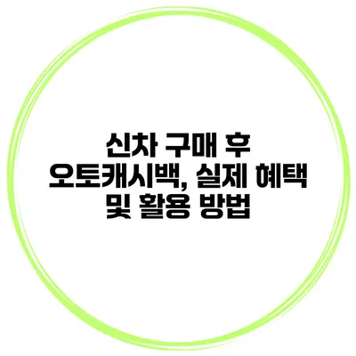 신차 구매 후 오토캐시백, 실제 혜택 및 활용 방법