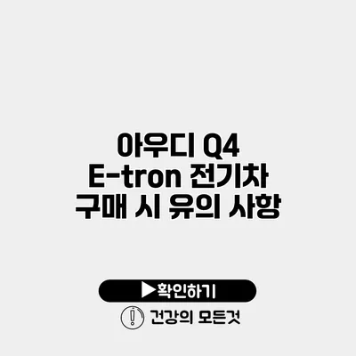 아우디 Q4 E-tron 전기차 구매 시 유의 사항