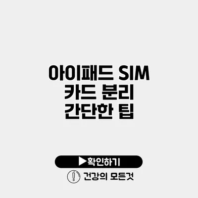 아이패드 SIM 카드 분리 간단한 팁