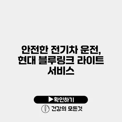 안전한 전기차 운전, 현대 블루링크 라이트 서비스