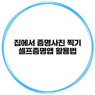 집에서 증명사진 찍기 셀프증명앱 활용법