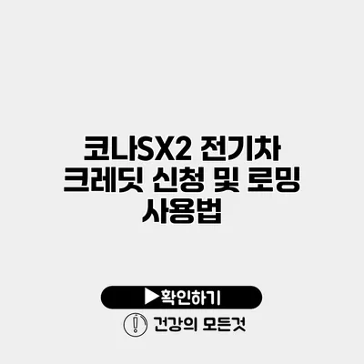 코나SX2 전기차 크레딧 신청 및 로밍 사용법