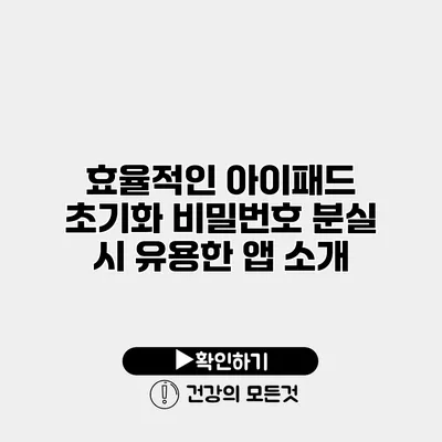 효율적인 아이패드 초기화 비밀번호 분실 시 유용한 앱 소개